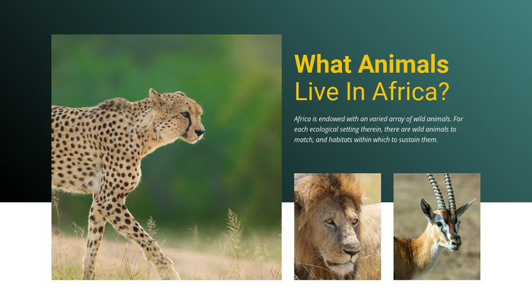 Live in africa HTML5 Template