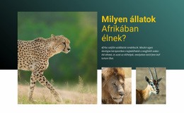 Ingyenes Letöltés Éljen Afrikában Html Sablonhoz