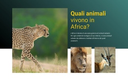 Vivi In Africa - Miglior Modello HTML5