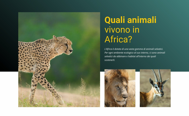 Vivi in africa Modello Joomla