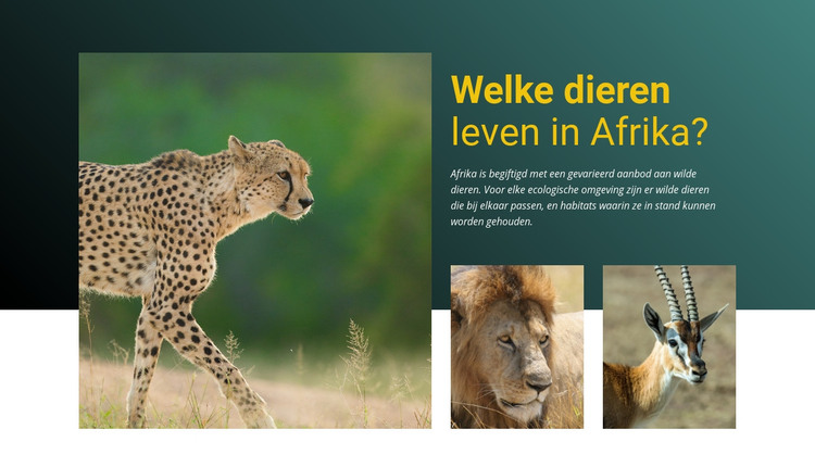 Leef in Afrika HTML-sjabloon