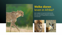 Leef In Afrika Sjablonen Wordpress