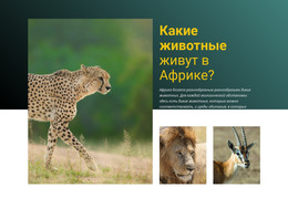 Бесплатная Загрузка HTML-Шаблона Жить В Африке
