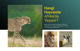 Afrika'Da Yaşamak - HTML Sayfası Şablonu