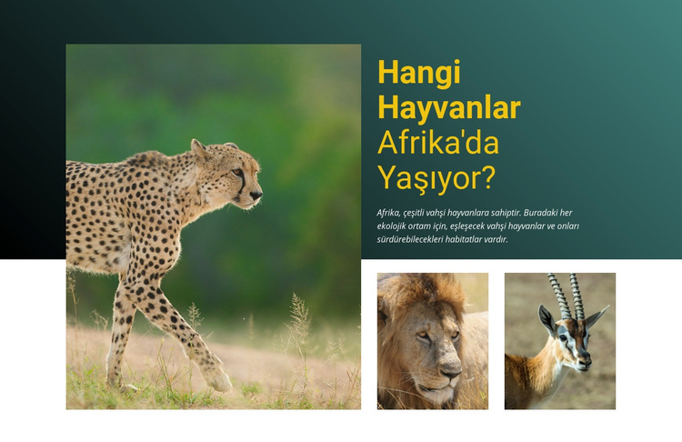 Afrika'da yaşamak WordPress Teması