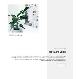 Grundinformation - Responsive HTML5-Vorlage