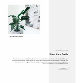 Grundinformation - Modernes Website-Design