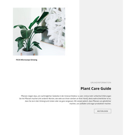 Grundinformation – Kreatives, Vielseitiges WordPress-Theme