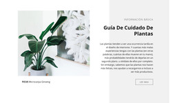 Información Básica: Plantilla HTML5 Adaptable