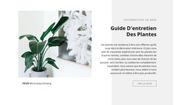 Informations De Base - Modèle HTML5 Réactif