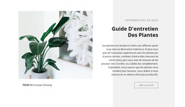 Informations De Base - Thème WordPress Polyvalent Créatif