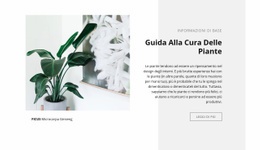 Informazioni Di Base - Modelli Online