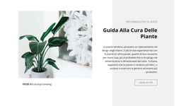 Informazioni Di Base - Modello HTML5 Reattivo