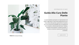 Informazioni Di Base - Tema WordPress Multiuso Creativo