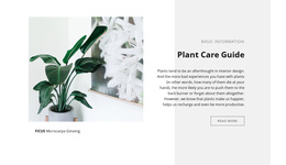 Basic Information - Free Joomla Template