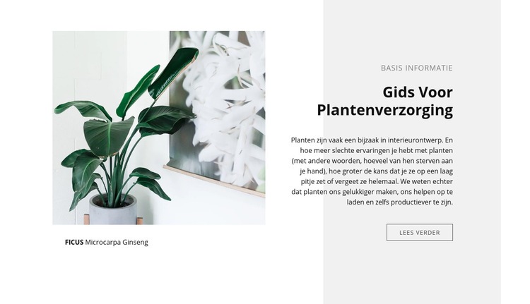 Basis informatie Website mockup