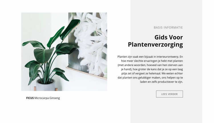 Basis informatie Website ontwerp