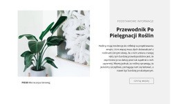 Podstawowe Informacje - Szablony Online