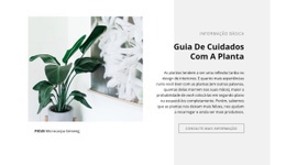 Informação Básica - Design Moderno Do Site
