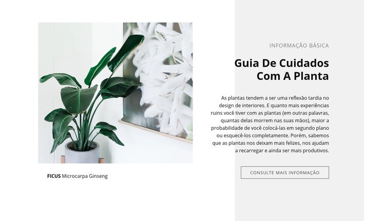 Informação básica Design do site