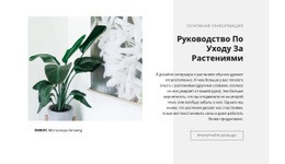 CSS-Меню Для Основная Информация