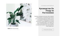 Эксклюзивный Макет Веб-Сайта Для Основная Информация