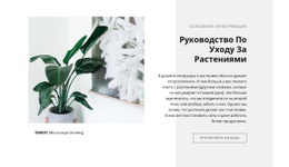Основная Информация – Креативная Многофункциональная Тема WordPress