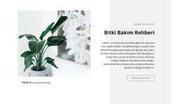 Temel Bilgiler Tamamen Duyarlı