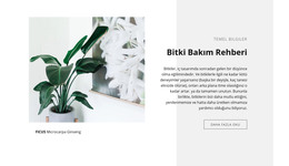 Temel Bilgiler - Duyarlı HTML5 Şablonu