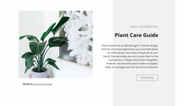 Exclusive Website Mockup For Basic Information