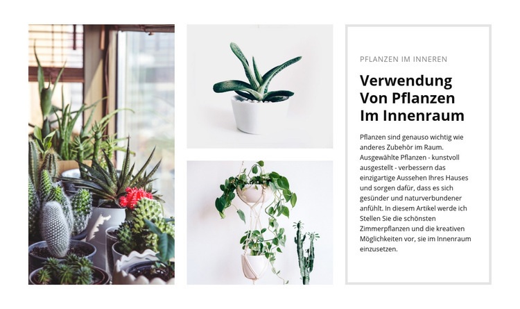 Pflanzen Interieur HTML Website Builder