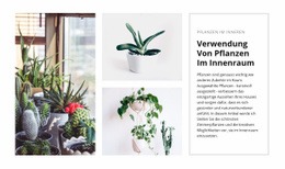 Pflanzen Interieur – Site-Mockup