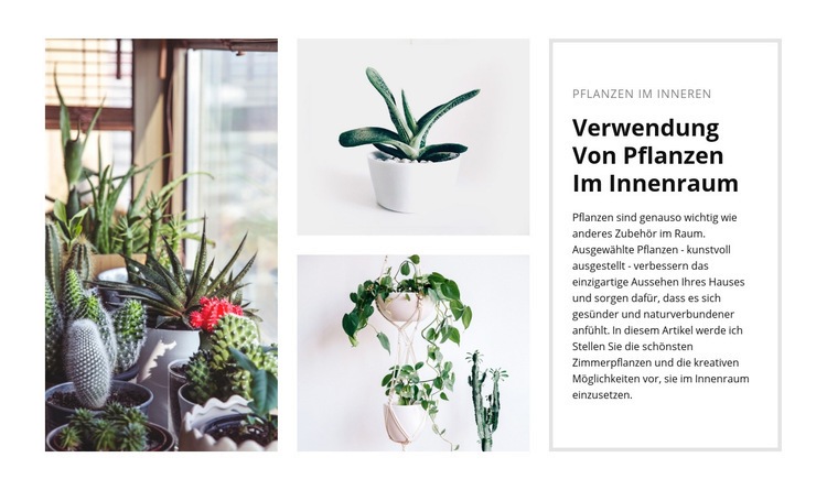 Pflanzen Interieur Website-Modell