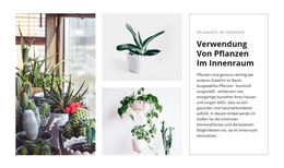 Pflanzen Interieur – Kostenloses WordPress-Theme