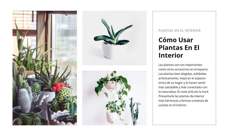 Interior de plantas Maqueta de sitio web