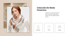 Colección De Moda Femenina Plantilla Limpia Y Minimalista