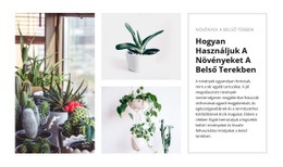 Növények Belseje - Egyszerű Webhelysablon