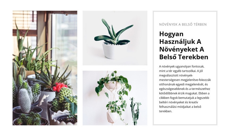 Növények belseje Weboldal tervezés
