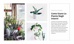 Interni Di Piante - Progettazione Di Siti Web Professionali