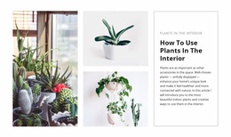 Plants Interior - Professional Website Design