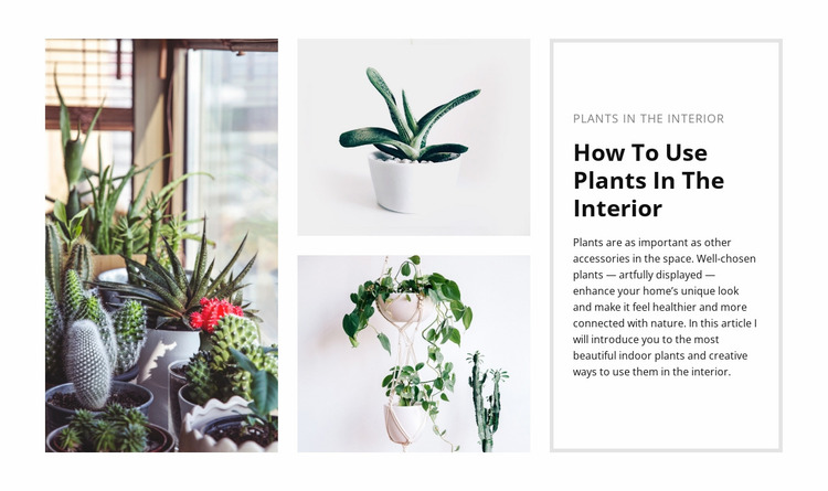 Plants interior Website Mockup