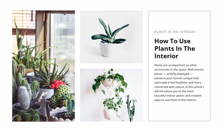 Plants interior WordPress Website Builder