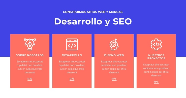 Desarrollo y SEO Tema de WordPress