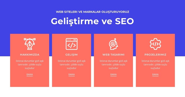 Geliştirme ve SEO WordPress Teması