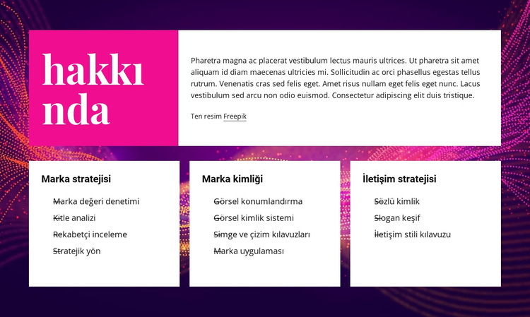 Markalaşma ve tasarım hakkında WordPress Teması