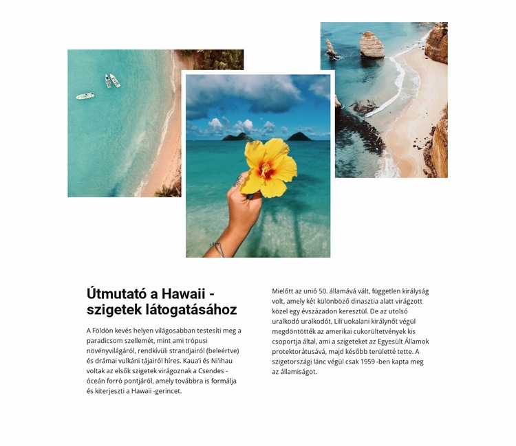 Utazás a Hawaii -szigeteken Weboldal tervezés