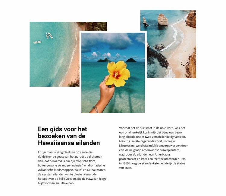 Reis op Hawaiiaanse eilanden Website ontwerp