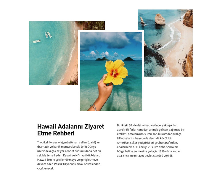 Hawai adalarında seyahat edin HTML Şablonu