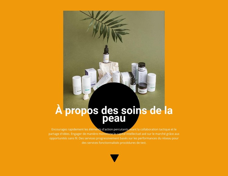 Cosmétique professionnelle Conception de site Web