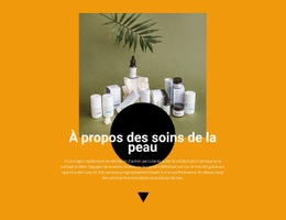 Cosmétique Professionnelle - Maquette Du Site